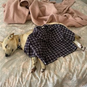 Brandy Melville Purple Plaid Button Crop Top